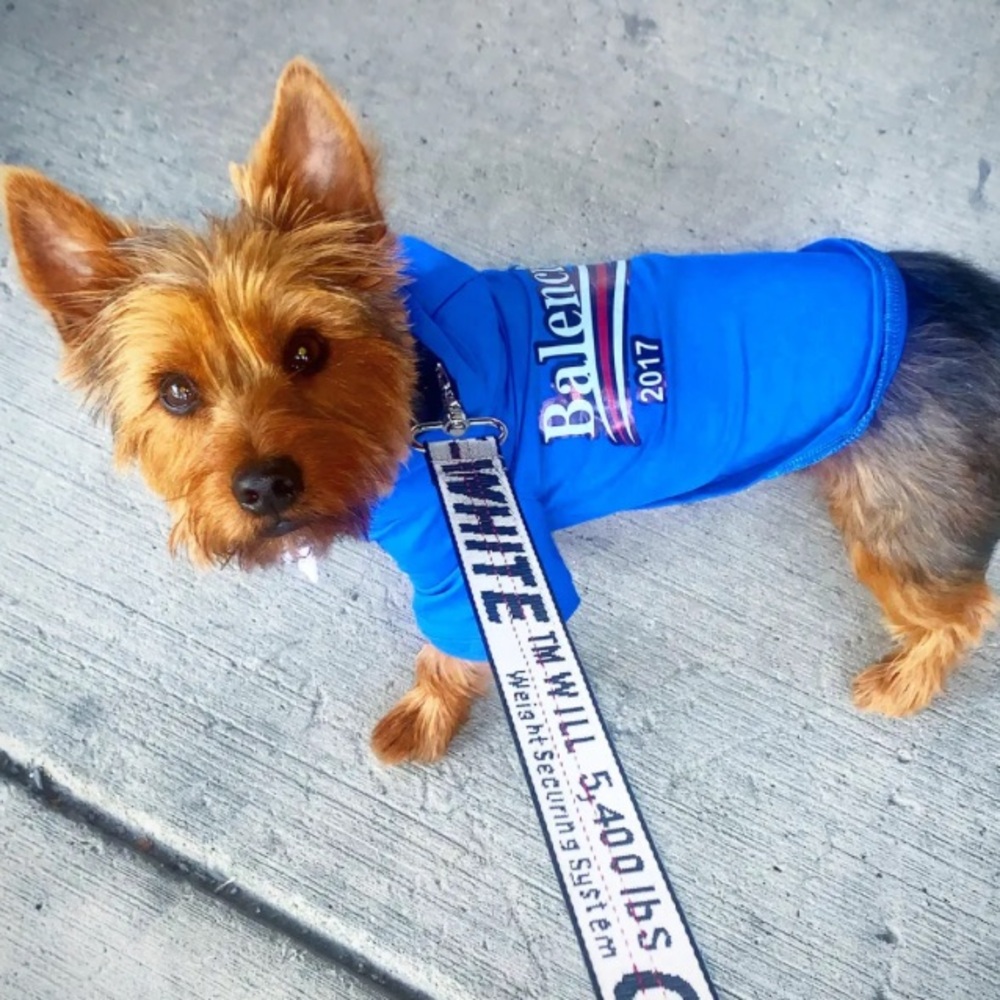 Pawlenciaga tshirt hoodie for small Dogs